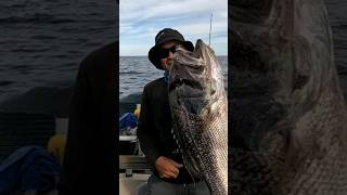 Catching Dhufish Western Australia [upl. by Nabatse]