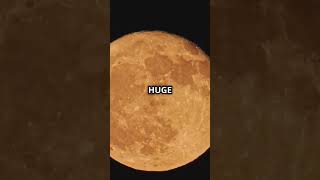 MindBlowing Facts About the Hunters Moon [upl. by Edi]