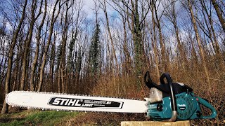 Makita DCS 6401  a great chainsaw in 60cc class [upl. by Amari]