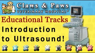 Introduction to Ultrasound [upl. by Iraam]