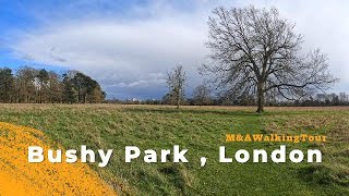 Bushy Park Sunny Day London 4K  Walking video [upl. by Broderic813]