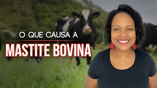 O que Causa a Mastite Bovina [upl. by Moclam]