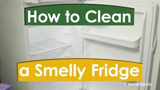 How to Clean a Smelly Fridge  Consumer Reports [upl. by Ynnavoig]