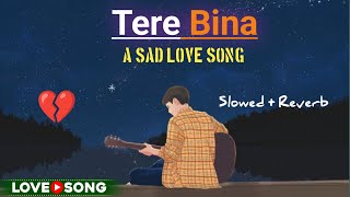 Tere Bina तेरे बिना🥺 Sad song ll Lofi song ll lofi music viral trending sadmusic [upl. by Rasure731]