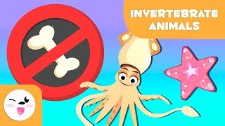 Invertebrate animals for kids arthropods worms cnidarians mollusks sponges echinoderms [upl. by Okia21]