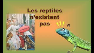 Taxons et synapomorphies  pourquoi le groupe des reptiles nest pas valide phyla et taxa 2 [upl. by Denten]