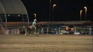 Arabian Reining Futurity Classic Scottsdale 2012 [upl. by Eanehs372]