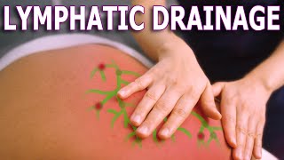 Lymphatic Drainage Benefits  The Importance Of Lymphatic System Health [upl. by Olia]