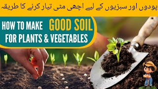 Best Potting Soil Mix  Poudhe Lagane ke liye mitti kaise taiyar karen [upl. by Saraiya719]