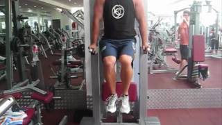 wwwssptaccom  Dip Bar Knee Raises [upl. by Jez]