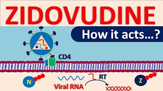 Zidovudine  An antiretroviral agent [upl. by Aillicec]