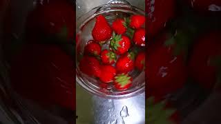 Erdbeeren richtig waschen I Quelle auf dem Blog springonshorts erdbeeren [upl. by Ymarej197]