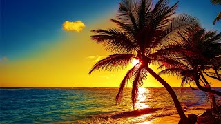 Beautiful Relaxing Peaceful Music Calm Music 247 quotTropical Shoresquot By Tim Janis [upl. by Atteuqehs]