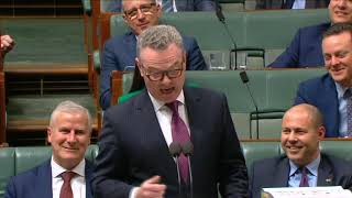 Christopher Pyne Valedictory [upl. by Yenttihw]