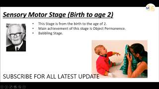 Sensory Motor Stage by Piaget  KVS DSSSB DEd Teaching [upl. by Aikas]