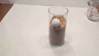 POPCORN BUOYANCY EXPERIMENT [upl. by Enuahs]