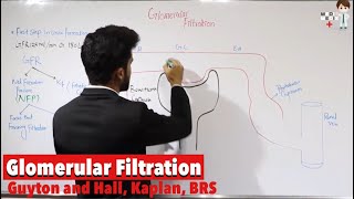 Glomerular filtration Physiology 89 [upl. by Oniskey32]