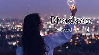 Dhadkan Slowed reverb  Dhadkan  Main Tenu Rab To Duaon Kar Ky Har Hal Ty Paa Lena [upl. by Hgielak]