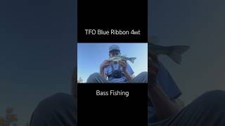 4wt fly fishing is where it’s at tforods blueribbon bassflyfishing gamechanger 4wt texas [upl. by Eba]