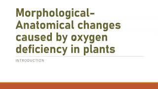 morphological and anatomical changes caused by oxygen deficiency Trim1 [upl. by Ynna]