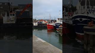 Kilkeel Harbour 🐟🦐 03042024 [upl. by Ravo]