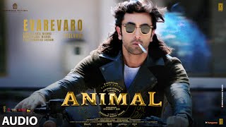 ANIMALEvarevaro Audio  Ranbir K RashmikaAnil K Bobby D  Sandeep V  Vishal Mishra  Bhushan K [upl. by Ellebasi302]