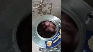 Onion Peeling machinepotato peeling machine 5kg10kg15kg20kgRamdev engineers [upl. by Icken807]