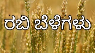 Indian Crops  Rabi crops  ರಬಿ ಬೆಳೆಗಳು  PC PSI CIVIL [upl. by Sandro]