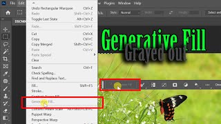 How to Solve Generative Fill Greyed Out in Photoshop Beta [upl. by Bluefarb]