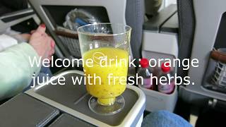 Lufthansa Premium Economy Frankfurt to Denver [upl. by Ahsakal510]