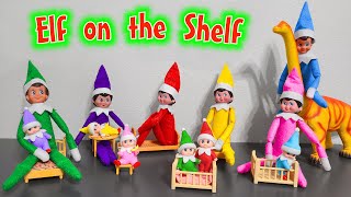 Elf on the Shelf 2020 All Colors Elf on the Shelf and Elf Babies [upl. by Harday530]