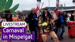 Carnavalsoptocht in Zaltbommel Mispelgat 2024  Omroep Gelderland [upl. by Siuqram]