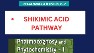 Shikimic acid pathway  significance of shikimic acid pathway  Pharmacognosy2 unit1 [upl. by Parthena58]