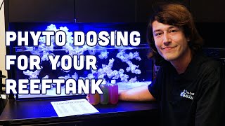 Supercharge Your Home Aquarium The Power of Phytoplankton Dosing [upl. by Durant]