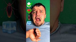 EATING DISGUSTING 🤢 FOOD CHALLENGE 🤣🤪🤣🤪🤣 shorts funny challengemus challenge [upl. by Sorazal41]