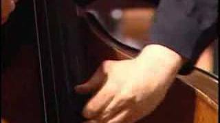 Dragonetti´s Double Bass Concert II Mov [upl. by Angy]