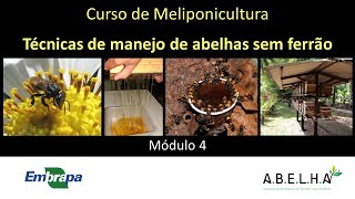 Curso de Meliponicultura  Parte 4  Técnicas de manejo de abelhas sem ferrão [upl. by Aniraz]