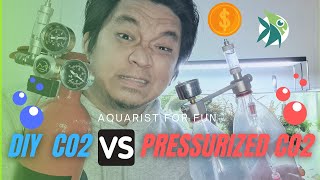 DIY CO2 vs PRESSURIZED CO2 for PLANTED TANKS COST COMPARISON and PROS amp CONS [upl. by Shippee]