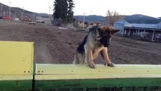 Preparing the Grain DrillJohn Deere A [upl. by Merfe664]