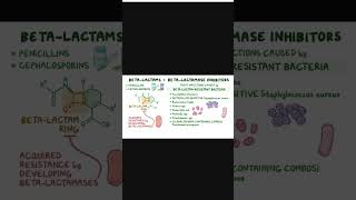 Mechanism of action of beta lactam antiobiotics  Medicinal Chemistry  Shorts  genericmedicine [upl. by Enirahtac666]