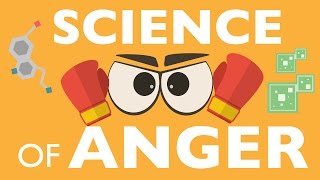 THE SCIENCE OF ANGER [upl. by Barling]