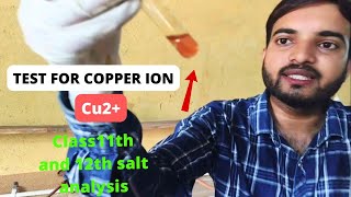 Test for copper Cu2 ion salt analysis for cation class12thpractical a2zpractical991 [upl. by Pyszka]