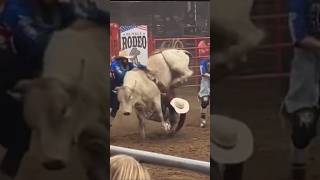 This bull rider is lucky [upl. by Erlond]