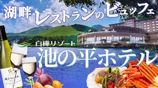 長野【 池の平ホテル 】新本館！地元食材を活かした豪華ビュッフェで人気アイスも食べれる♪子育て家族にも優しい♡ 絶景インフィニティ温泉✨ 新本館デラックスルーム｜車山高原｜池の平ファミリーランド [upl. by Yvonner678]