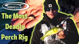 The Most Deadly Perch Rig [upl. by Anayt]