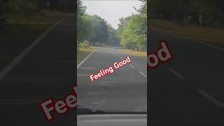 feeling good Driving Song short youtubeshorts viralshorts viralvideo [upl. by Hootman]