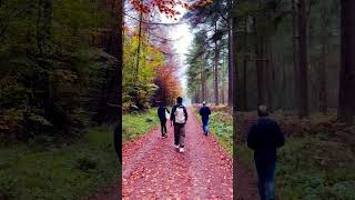 Nature’s peace Dalby Forest bliss [upl. by Haven313]