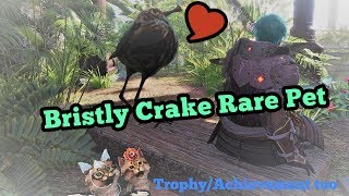 How to catch the Bristly Crake rare pet for the Bristles for All TrophyAchievement in MHW [upl. by Thorlay]