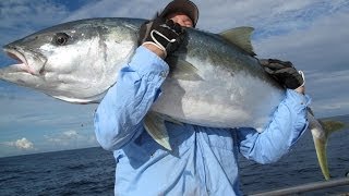 Three Kings New Zealand  Monster Kingfish Bass amp Broadbill Swordfish aboard Enchanter [upl. by Yllehs]