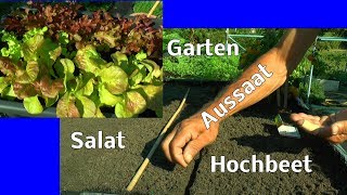 Garten Inspirationen Aussaat Hochbeet Urgesteinsmehl gegen Schädlinge Ernte der Sand Radieschen und [upl. by Kahl240]